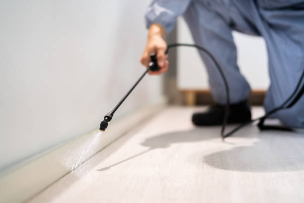 Licensed Cockroach Control service in Hauser, ID - Nex Pest Control