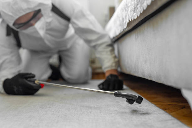 Professional Cockroach Control technician working in Hauser, ID