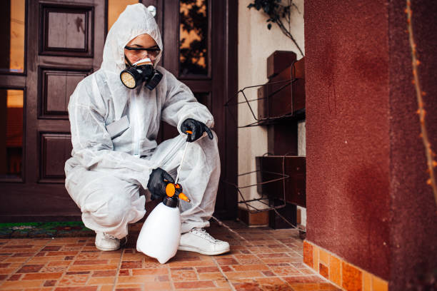 Reliable Cockroach Control contractor in Hauser, ID by Nex Pest Control
